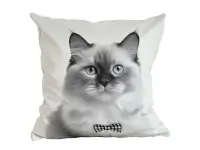 Almohadón Velvet Pet Gato Himalayo