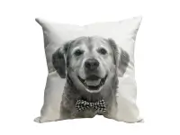 Almohadón Velvet Pet Perro Golden